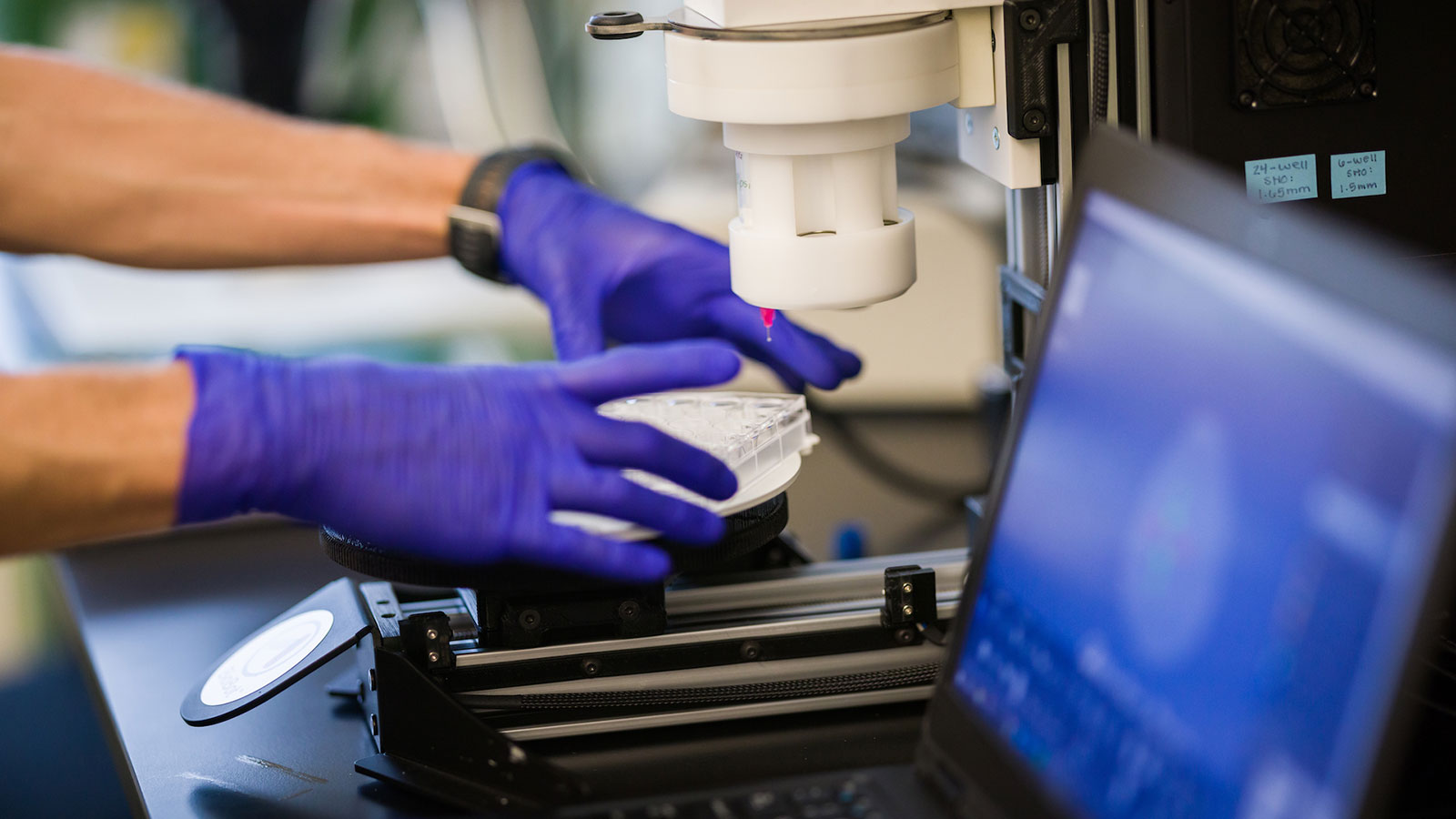 Biomedical Engineering students investigating skeletal muscle progenitor cells as a potential therapeutic candidate for peripheral artery disease.