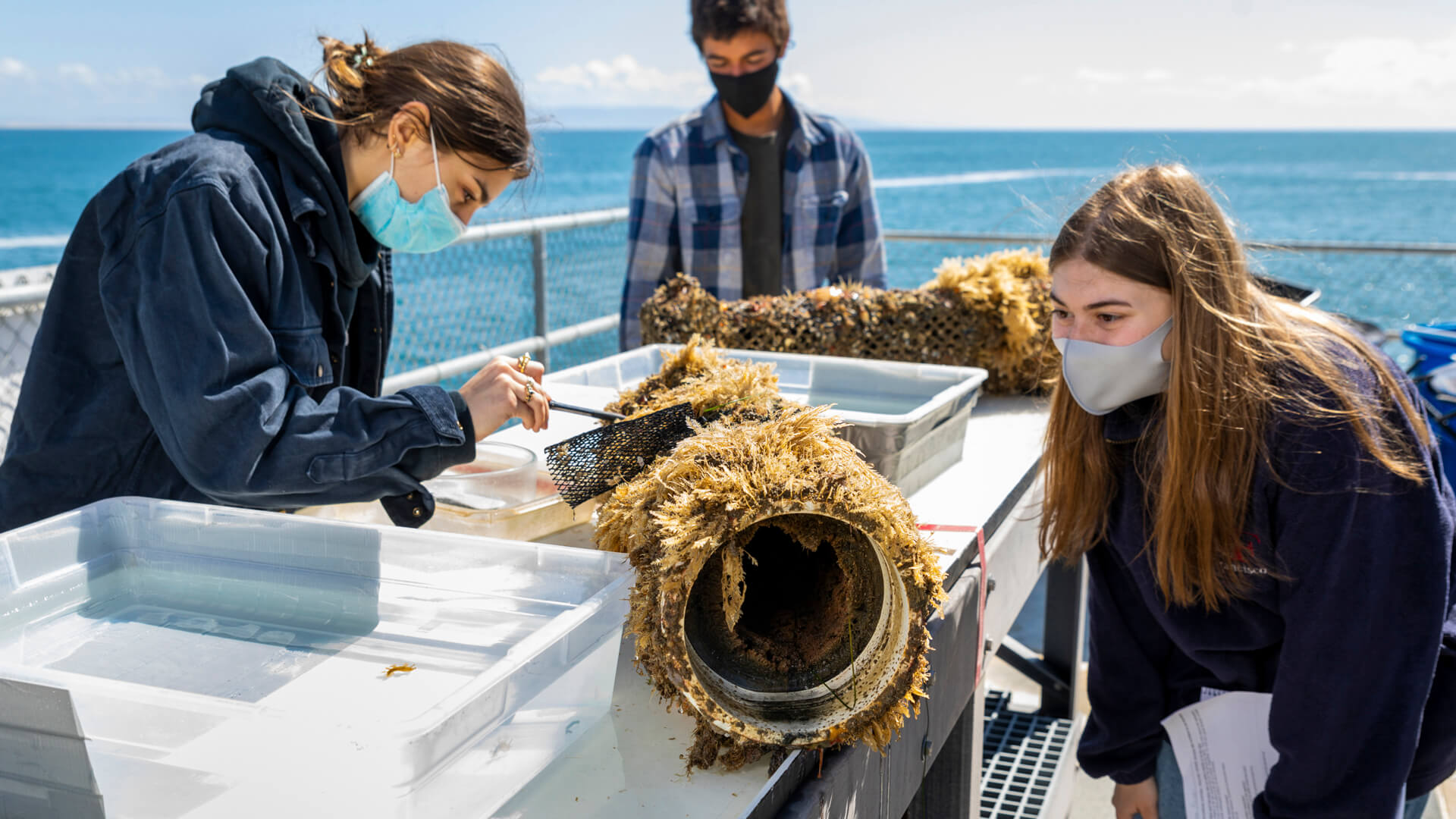 Biological Sciences professor Nikki Adams leading her students at the Center for Coastal Marine Sciences