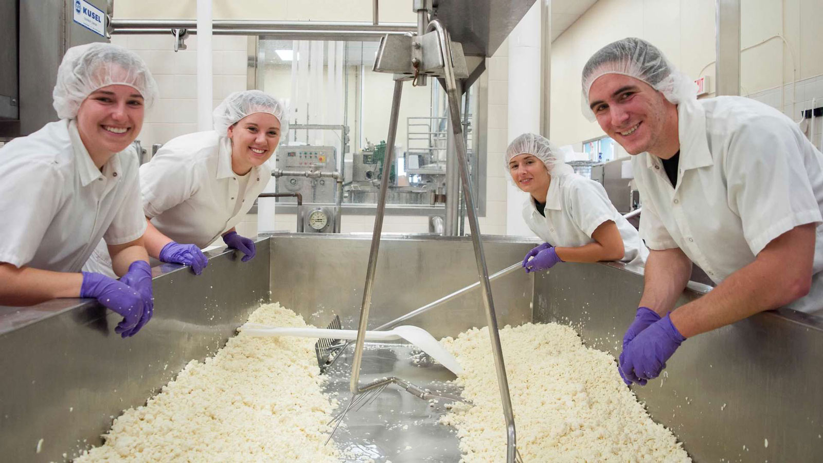 Students making cheese in the Dairy Innovation Institute.